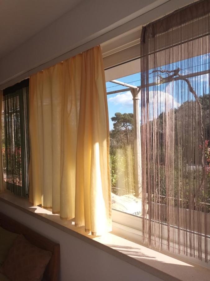 Cibaca Apartment Luka Near Dubrovnik מראה חיצוני תמונה